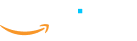 Intel AWS Logo